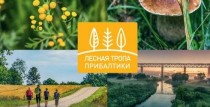 Путеводитель "Лесная тропа" (Южная часть)