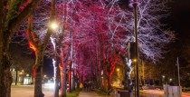 Latvijas Republikas proklamēšanas diena “Spēka zīmes Latvijai” Ventspilī