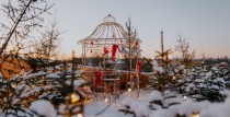 Aktivitātes VIZIUM “Brīnumainajā mežā”