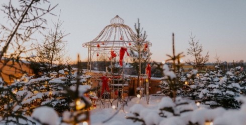 Aktivitātes VIZIUM “Brīnumainajā mežā”