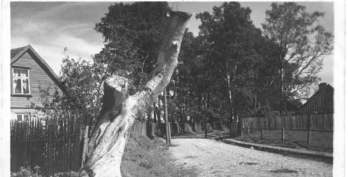 FOTOPLENĒRS “VENTSPILS ROBEŽA”