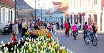 Piektdienas vakara pastaiga
