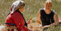 Māju kafejnīcu diena Suitos | Jūrkalne , Alsunga, Gudenieki