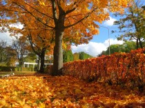 Enjoy golden autumn in Ventspils! 