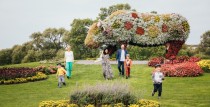 5 reasons to go on vacation to Ventspils