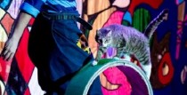 KUKLAČEVA KAĶU TEĀTRA IZRĀDE CATS SHOW 