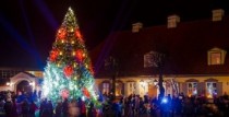 TIKS IEDEGTA PILSĒTAS GALVENĀ EGLE!