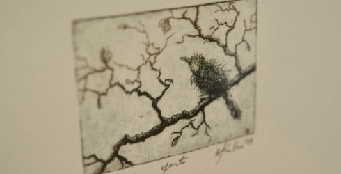 VENTSPILĪ NORISINĀS STARPTAUTISKAIS GRAFIKAS PLENĒRS “VENTSPILS DOKUMENTA 2015” 
