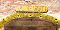 24. augustā Saldu devīto reizi pieskandinās Starptautiskais tautas muzikantu festivāls “Saldie vārti”