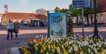 Piektdienas vakara pastaiga