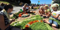 Aicina pieteikties dalībai ziedu paklāju festivālā