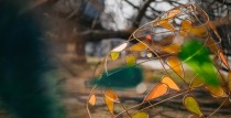 Lieldienu rotājumi Liepājā ieguvuši jaunas krāsas un noskaņu
