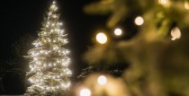 Dienvidkurzemē iedegsies Ziemassvētku galvenās egles