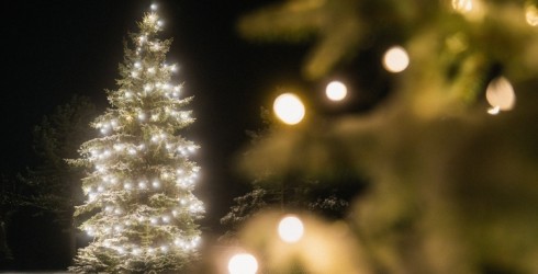 Dienvidkurzemē iedegsies Ziemassvētku galvenās egles
