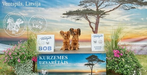 Ventspils Reņķa dārzā notiks suņu izstāde
