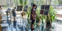 Atklāja sajūtu projekciju “Iemīlies Ventspilī”