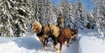 Ziemas pasaku baudījums Jura staļļos Grobiņā