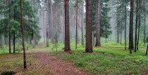  Aicinām piedalīties individuālajā meža un piejūras pārgājienā Ventspilī