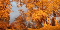 Zelta Rudens Grobiņas novadā!