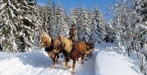 Vizināšana zirgu kamanās Jura Staļļos Grobiņā
