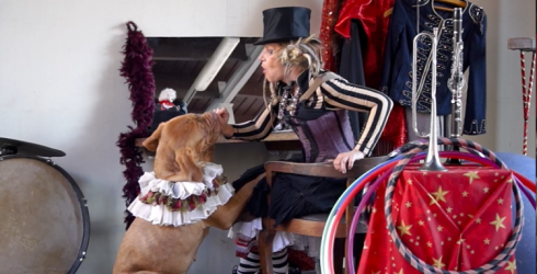 Ventspilī līdz ar Amatu mājas izstādes atklāšanu “Ferry. No Ventspils līdz  Hamburgai”, darbu uzsāks "Mazā komediantu skola"