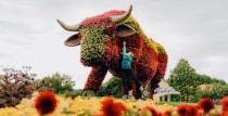 Ventspilī skolēnu rudens brīvlaikā gaidāmi piedzīvojumi visai ģimenei