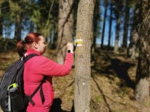 Interesentiem iespēja piedalīties garās distances pārgājiena maršruta “Mežtaka” marķēšanā Kurzemē!