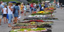 Sākas pieteikšanās 20. Starptautiskajam ziedu paklāju festivālam Ventspilī 