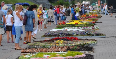 Sākas pieteikšanās 20. Starptautiskajam ziedu paklāju festivālam Ventspilī 