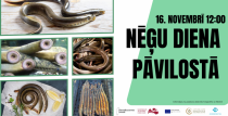 Ar gardiem nēģiem cienās Pāvilostā