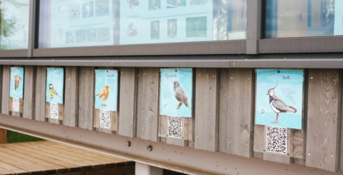Dabas māja Liepājā aicina iepazīt putnus