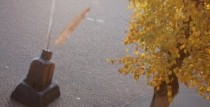 DZEJAS LASĪJUMS “VISUR IR BŪTS!”