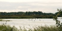Jauns putnu novērošanas tornis Saldus novadā
