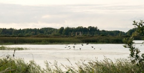 Jauns putnu novērošanas tornis Saldus novadā