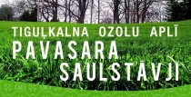 Folkloras kopa 
