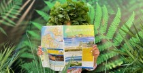 The new Tourism Newspaper 2021 for the summer season has been published