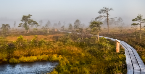 Walking trails and routes for spring walks near the city of Ventspils