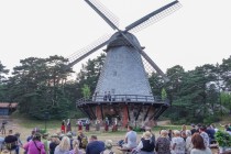 Vasaras saulgrieži Ventspils Piejūras Brīvdabas muzejā un Pludmalē