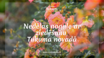 Tukuma novads aicina baudīt ziedēšanu, mūziku, dabu un vasaras svētku noskaņu