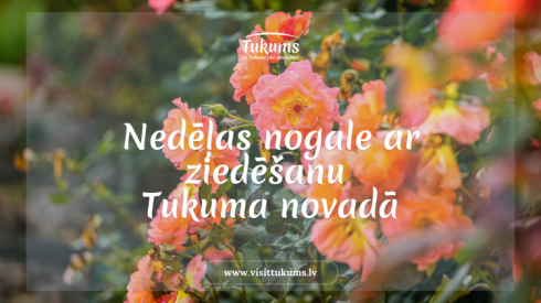 Tukuma novads aicina baudīt ziedēšanu, mūziku, dabu un vasaras svētku noskaņu