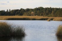 Kaņiera ezera putnu vērošanas tornis un dabas taka